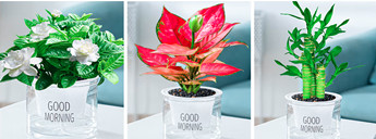 行業(yè)動態(tài) 行業(yè)動態(tài)